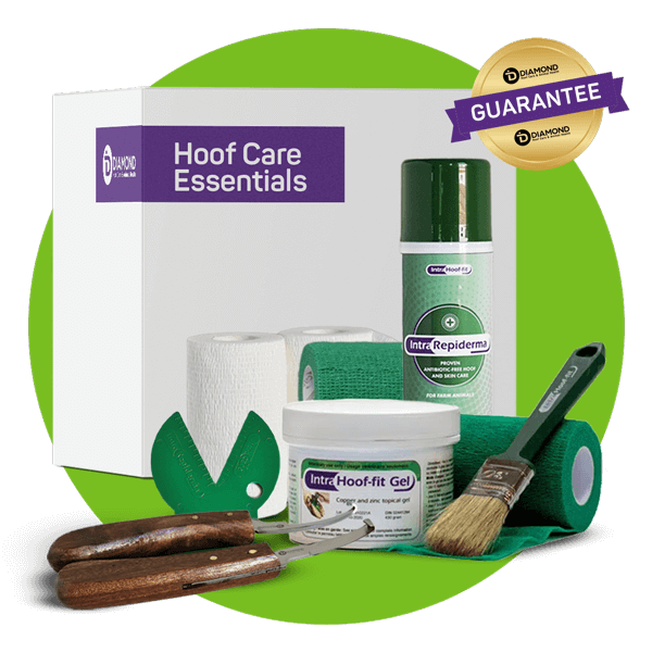 Hoof Care Essentials Kit Canada Description of image | Diamond Hoof Trimming Products & Supplies