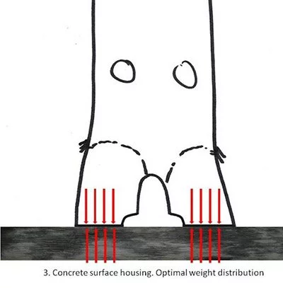 Hoof Care Concrete Surface Optimal Weight Distribution