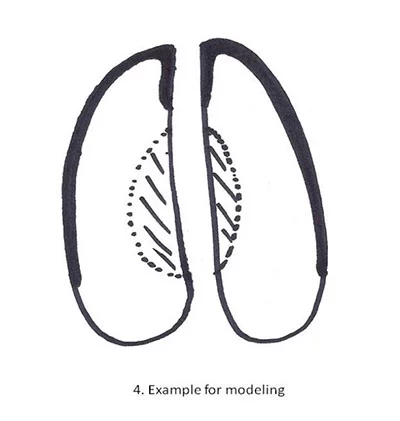 Cattle Hoof Modeling Example