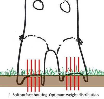 Soft Surface Weight Cattle Hoof