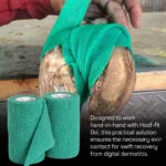 Hoof Wraps for cattle, Intra Hoof Fit Tape