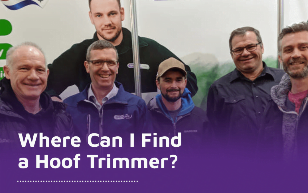 Where Can I Find a Hoof Trimmer?