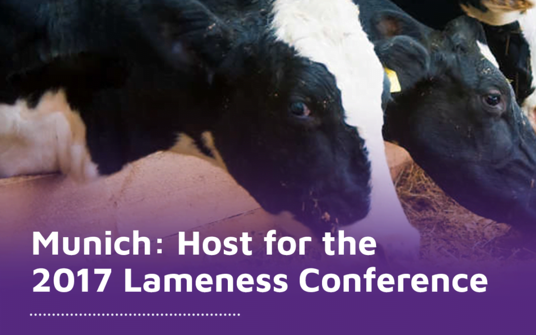 Munich Germany host for the 2017 Lameness Conference