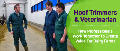 Hoof Trimmers and Veterinarians Can Work Better Together