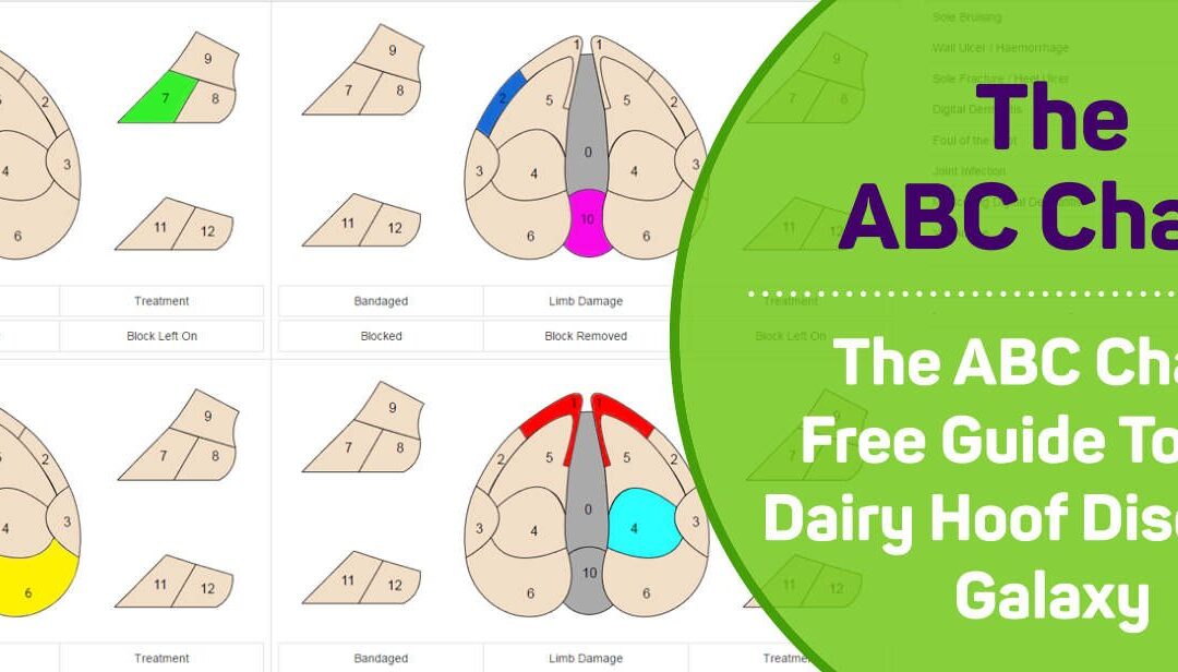 The ABC Chart: your guide to the dairy hoof diseases galaxy