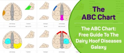 The ABC Chart: your guide to the dairy hoof diseases galaxy