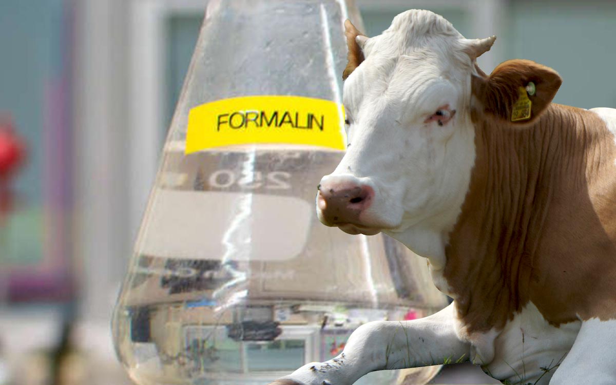 Is formalin really safe to use in hoof care for cows and horses?