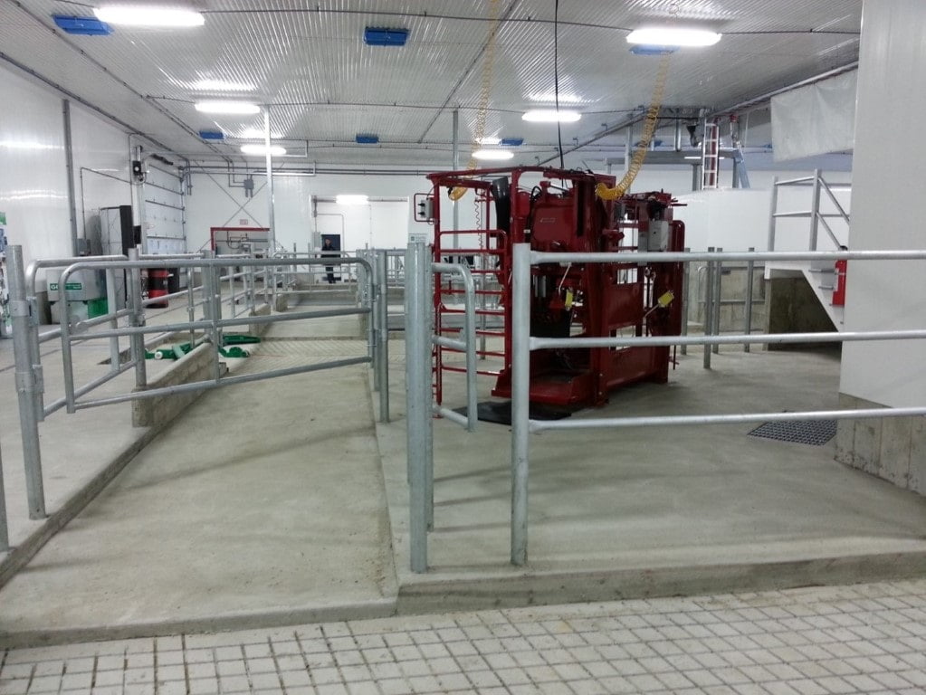 Barn design with excellent gating system