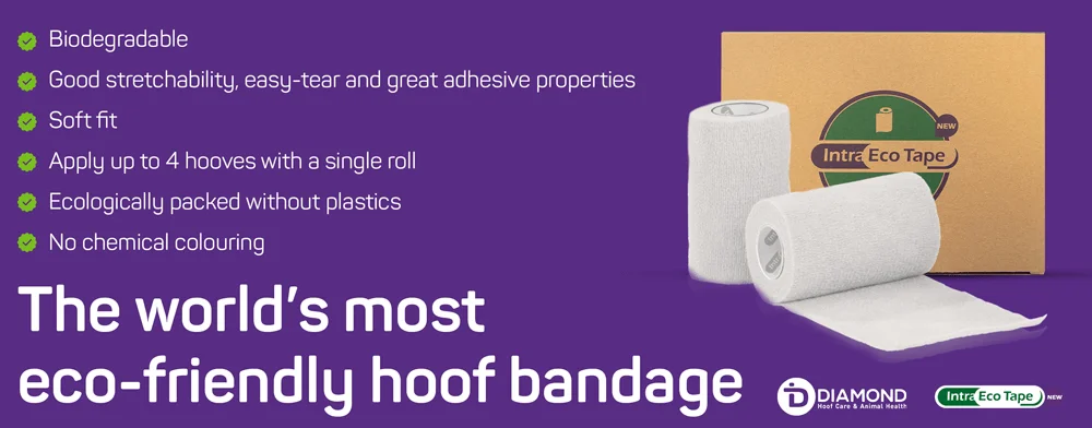Green & Protect Eco-Friendly Bandage Strips