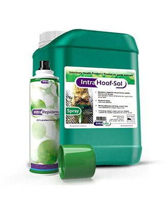 Intra Hoof Sol and Intra Repiderma - VHP Products