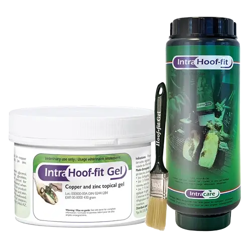 Top-quality hoof care supplies and tools, designed to meet the unique needs of various species, from horses and cattle to goats and sheep.​