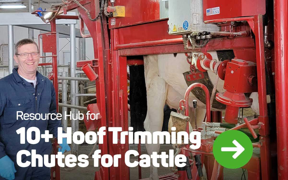 Resource Hub for 10 Hoof Trimming Chutes for Cattle