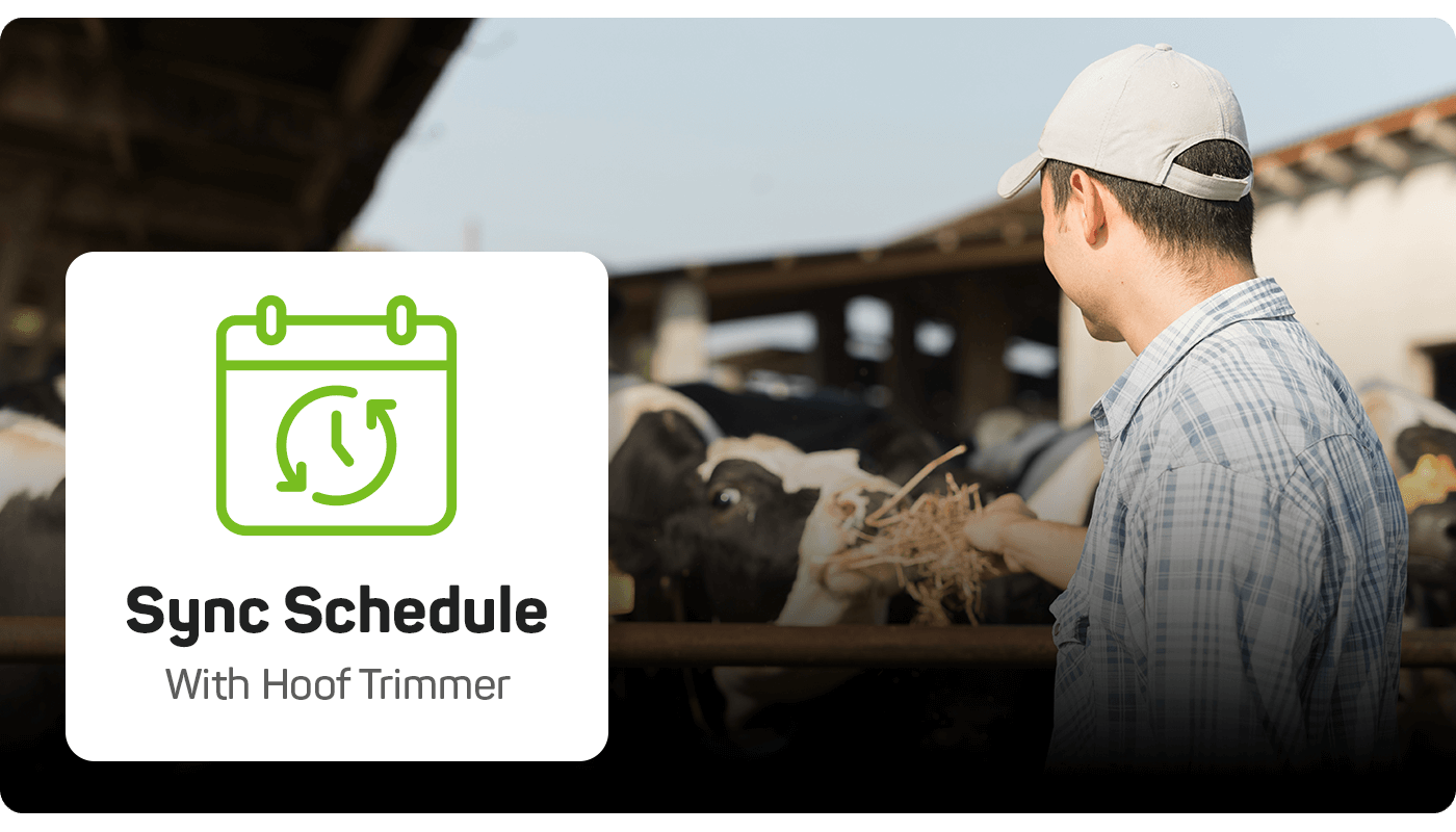 Sync Schedule with hoof trimmer is important for best outcome.