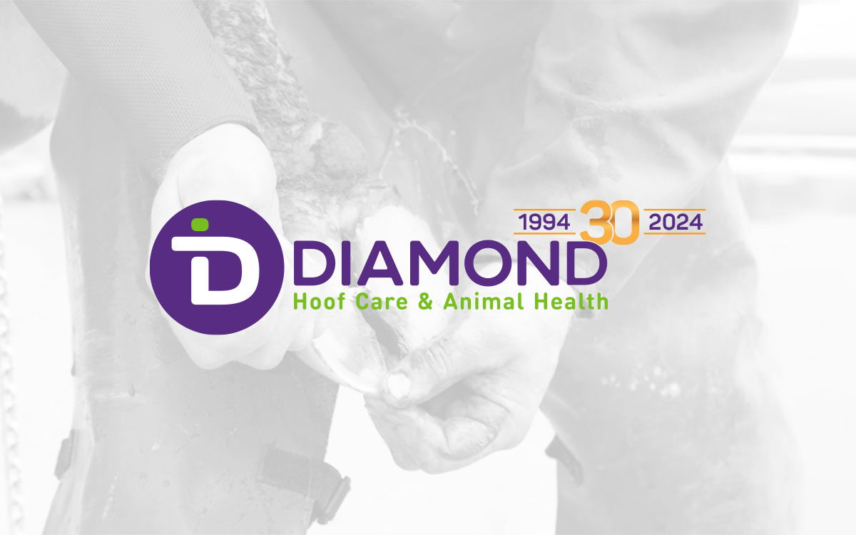 30 years of dairy hoof trimming - Diamond Hoof Care