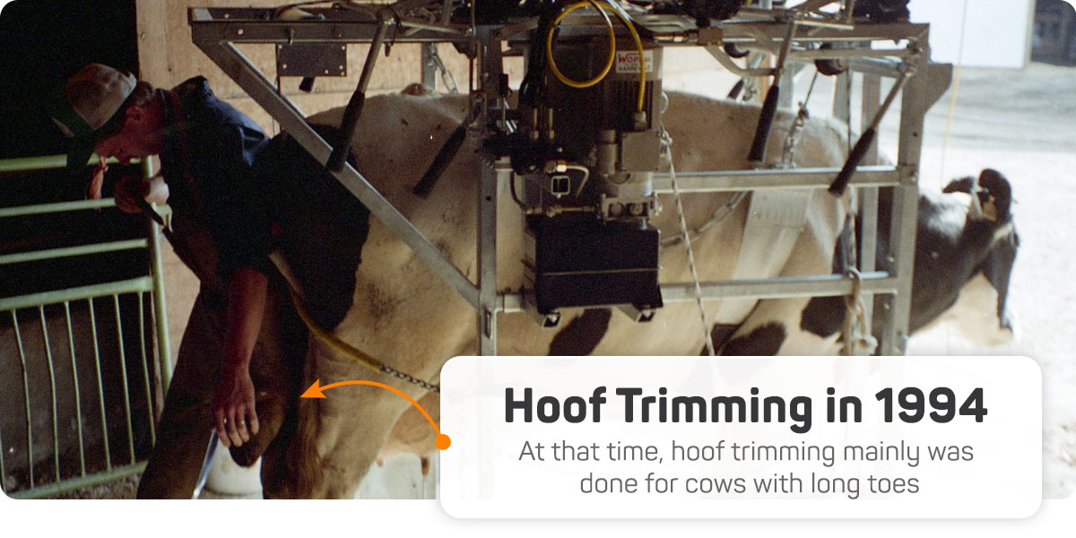 When our company started in October 1994, the approach to hoof trimming was quite different. At that time, hoof trimming mainly was done for cows with long toes.